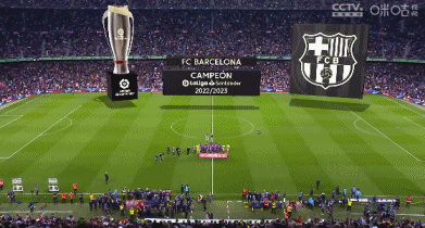 贡萨尔维斯：尤文在个人能力方面很出色，但我们把握住了机会